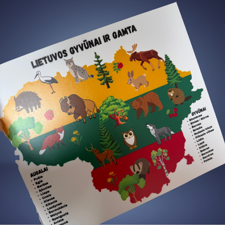 Edukacinė lentelė - Image 7