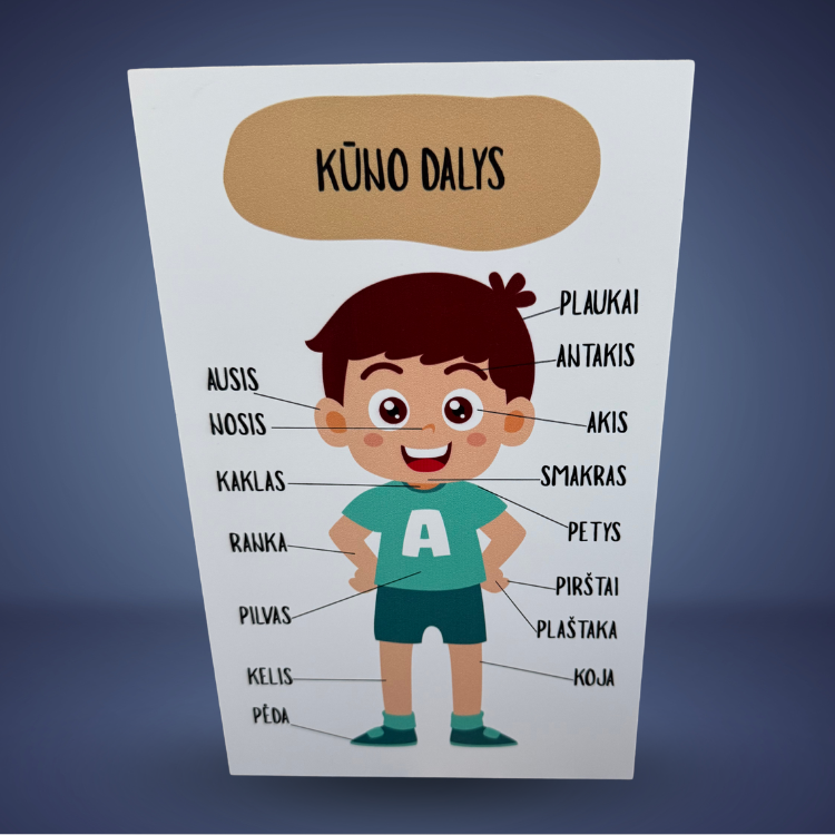 Edukacinė lentelė - Image 5